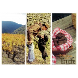 Carte postale « Philippe et chien » - Maison de la Truffe d'Occitanie